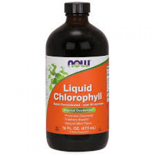 Liquid Chlorophyll Mint Flavor - 16 fl oz (100-64-8912771-20)