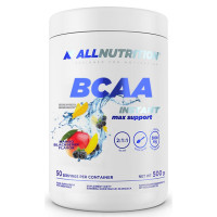 BCAA Max Support Instant - 500g Mango Blackberry BCAA Max Support Instant - 500g Mango Blackberry