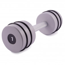 Гантель цільна PERTO Gray 7.0 кг з резинками D90