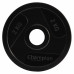 Диск для гантелі обгумований Champion 2.0 кг (00422-2)
