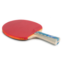 Ракетка для настольного тенниса Landers 4 Star в чехле Ракетка для настольного тенниса Landers 4 Star в чехле