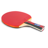 Ракетка для настільного тенісу Landers 5 Star в чохлі Ракетка для настільного тенісу Landers 5 Star в чохлі