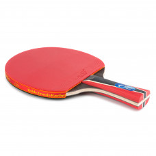 Ракетка для настільного тенісу Landers 6 Star в чохлі