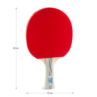 Ракетка для настільного тенісу 729 2010 Ракетка для настільного тенісу 729 2010