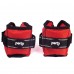 Утяжелители для рук PERTO Red 2 шт по 0.25 кг (F00536)